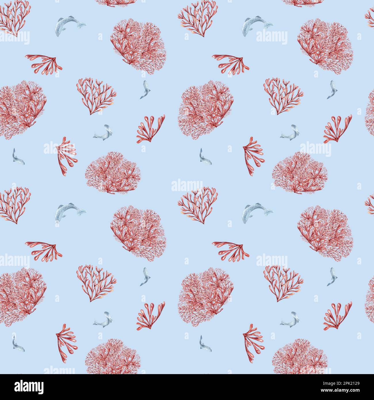 Seamless pattern of sea plants, coral watercolor isolated on blue background. Pink agar agar seaweed and fish hand drawn. Design element for package, Stock Photo
