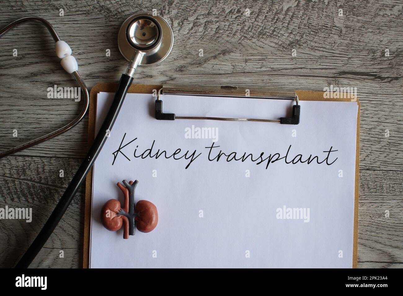 Kidney model, stethoscope and paper clipboard with text KIDNEY TRANSPLANT. Medical and healthcare concept Stock Photo