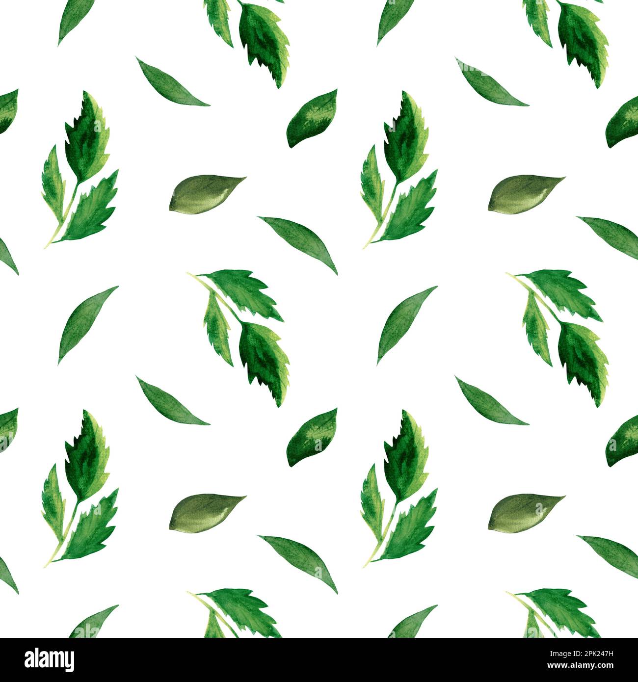 Hand drawn watercolor green leaves seamless pattern Stock Photo - Alamy