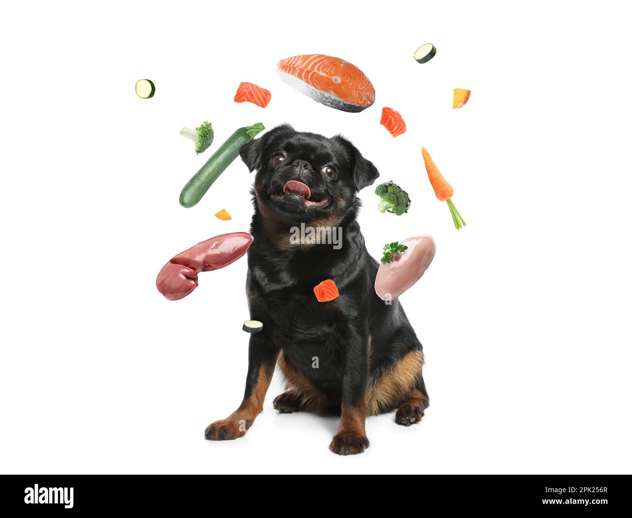 Cute dog surrounded by fresh products rich in vitamins on white background. Healthy diet for pet Stock Photo