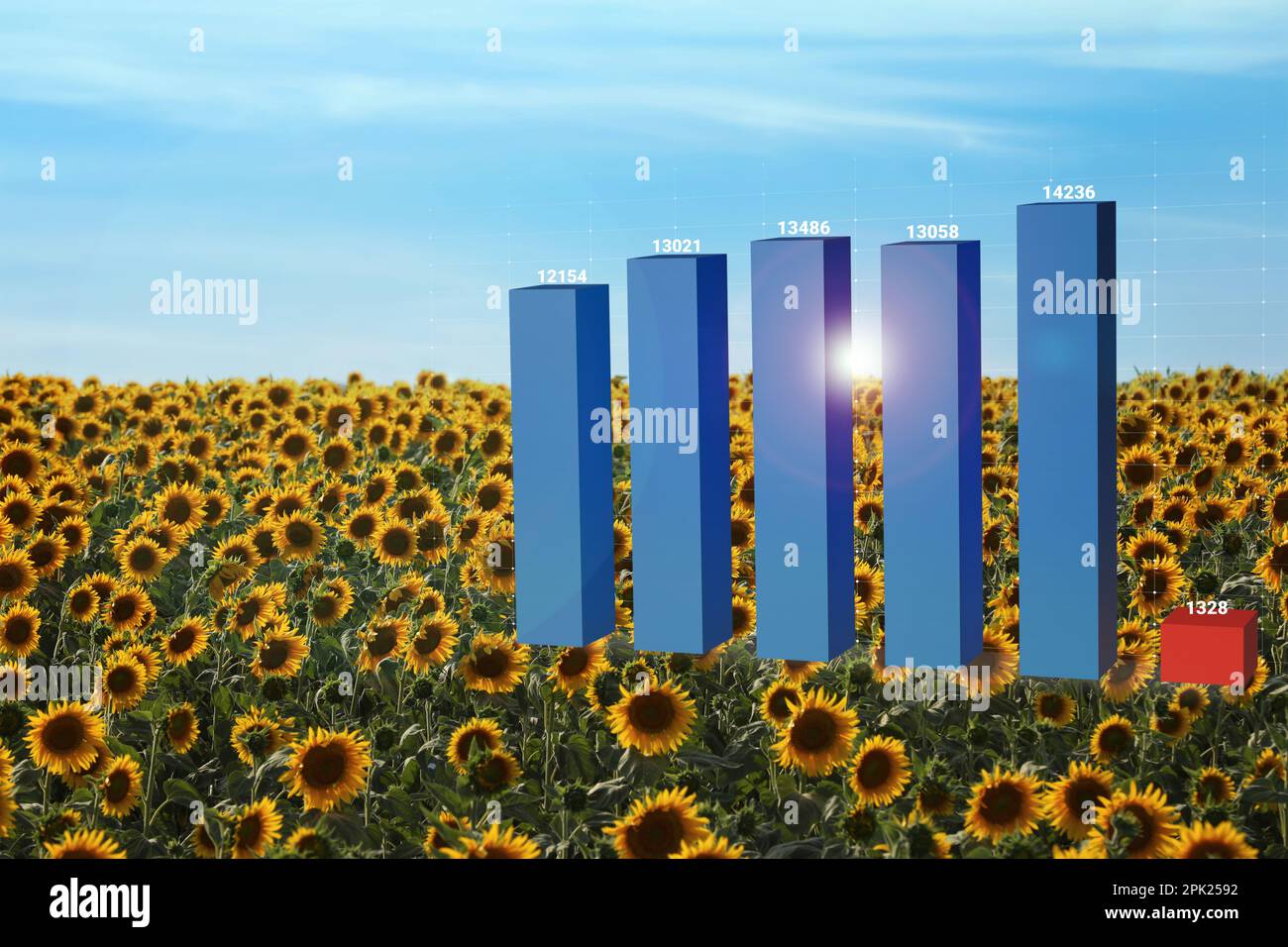 Agricultural crisis. Sunflower and illustration of graph showing ...