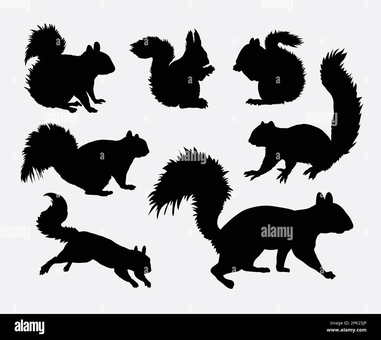 Squirrel animal silhouettes Stock Vector