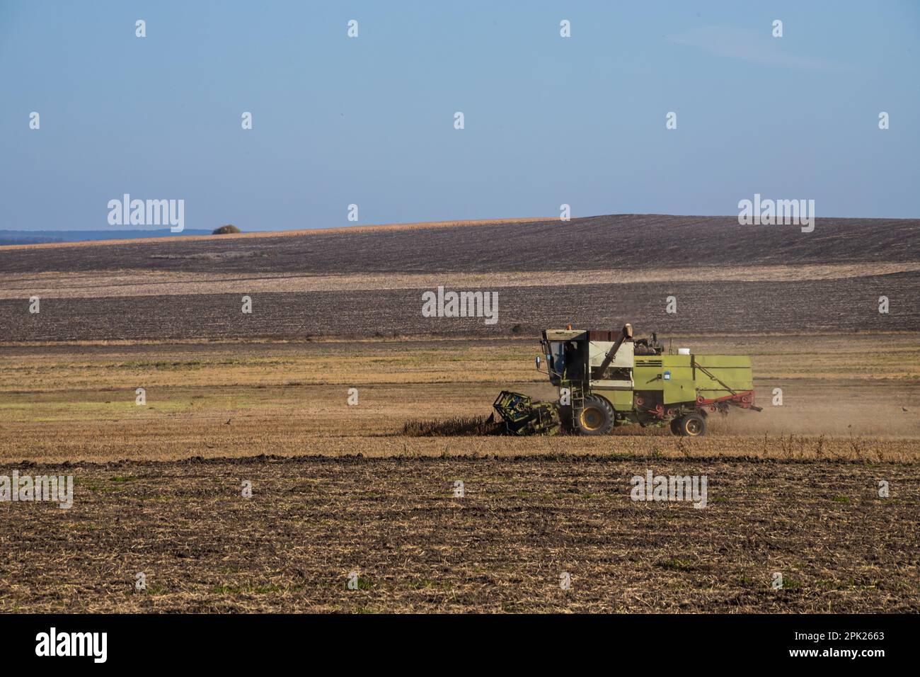 green combine harvesting a crop of soybeans Stock Photo Alamy