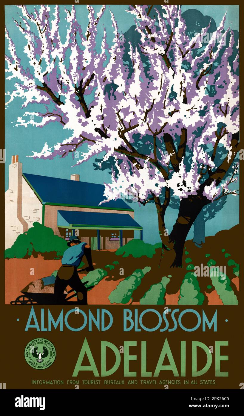 Almond blossom. Adelaide. Information from tourist bureaux and travel agencies in all states by Clifford Wall (1873-1945). Poster published in 1938 in Australia. Stock Photo