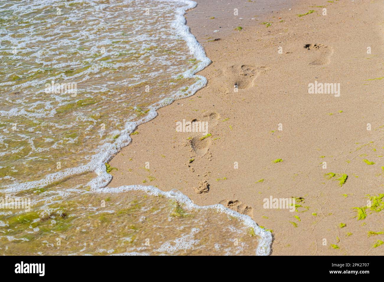 Footprints of a man on the yellow beach sand from walking barefoot by the sea with water that washes away the footprints. Contemplation of life Stock Photo