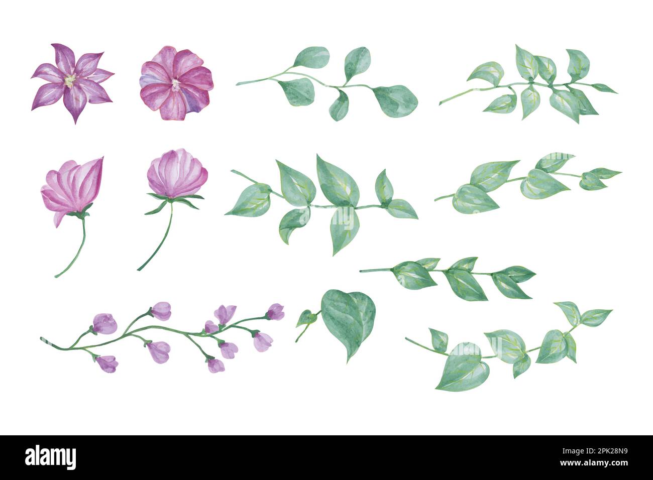 Purple flowers and green leaves for decoration, hand drawn watercolor