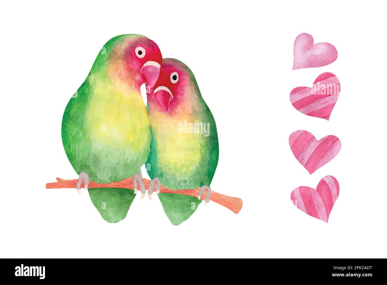 Watercolor valentines day love bird couple, hand drawn watercolor ...