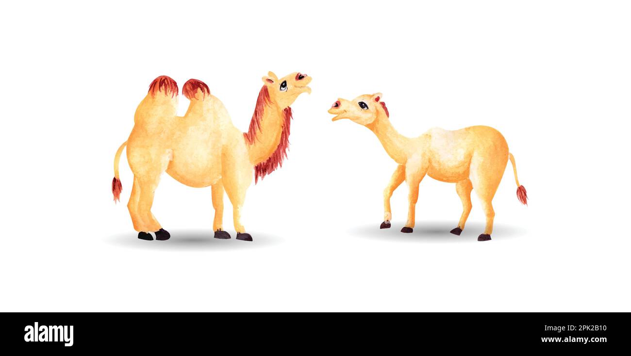 Set of camel watercolor characters, hand drawn watercolor vector illustration for greeting card or invitation design Stock Vector