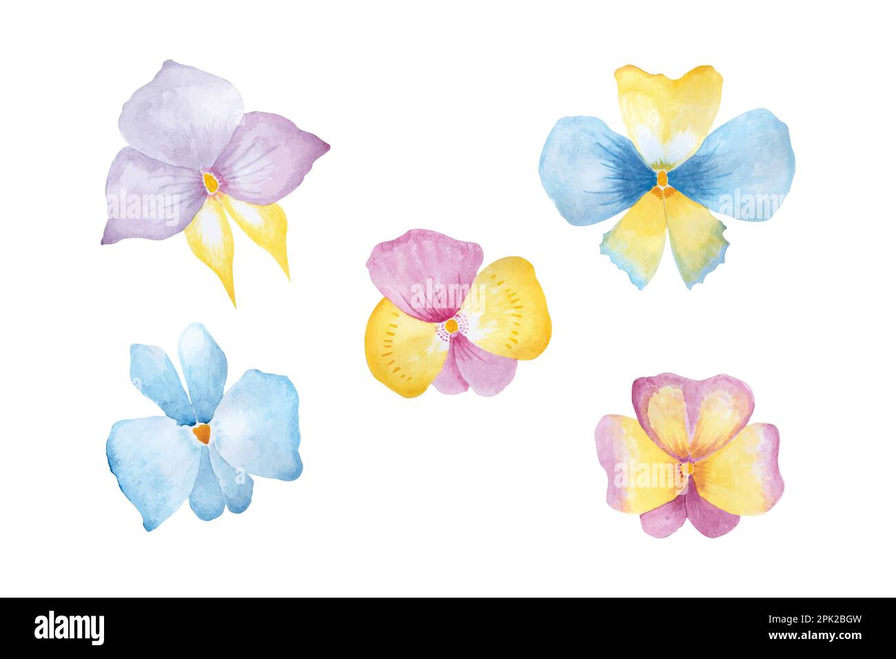 Orchid flowers collection, hand drawn watercolor vector illustration for greeting card or invitation design Stock Vector