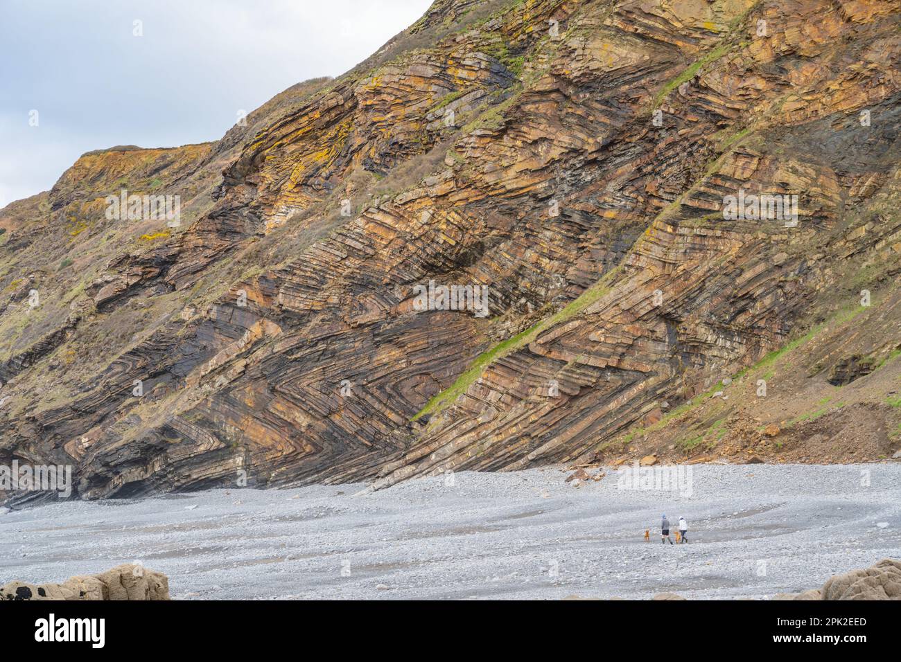 The cliffs at Millook, Between Crackington Haven and Widemouth Bay ...