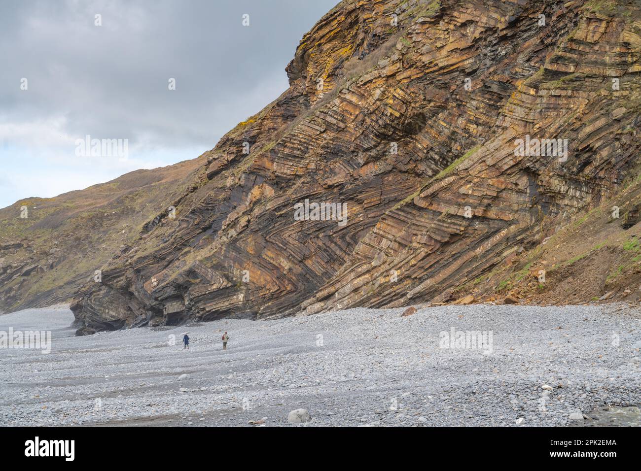 The cliffs at Millook, Between Crackington Haven and Widemouth Bay ...