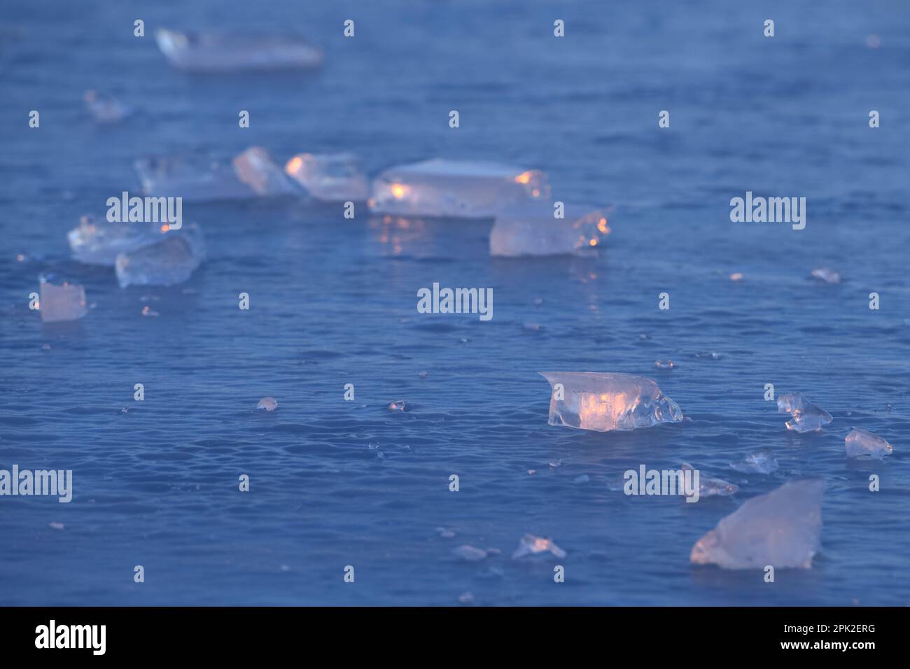 blue ice... Ice slabs ( high water on the lower rhine ), ice slabs on an ice surface in early morning light Stock Photo