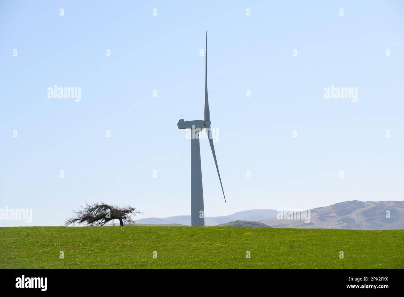 Wind turbine in Wharrel's Hill Wind Farm near Bothel in the northern Lake District, Cumbria Stock Photo