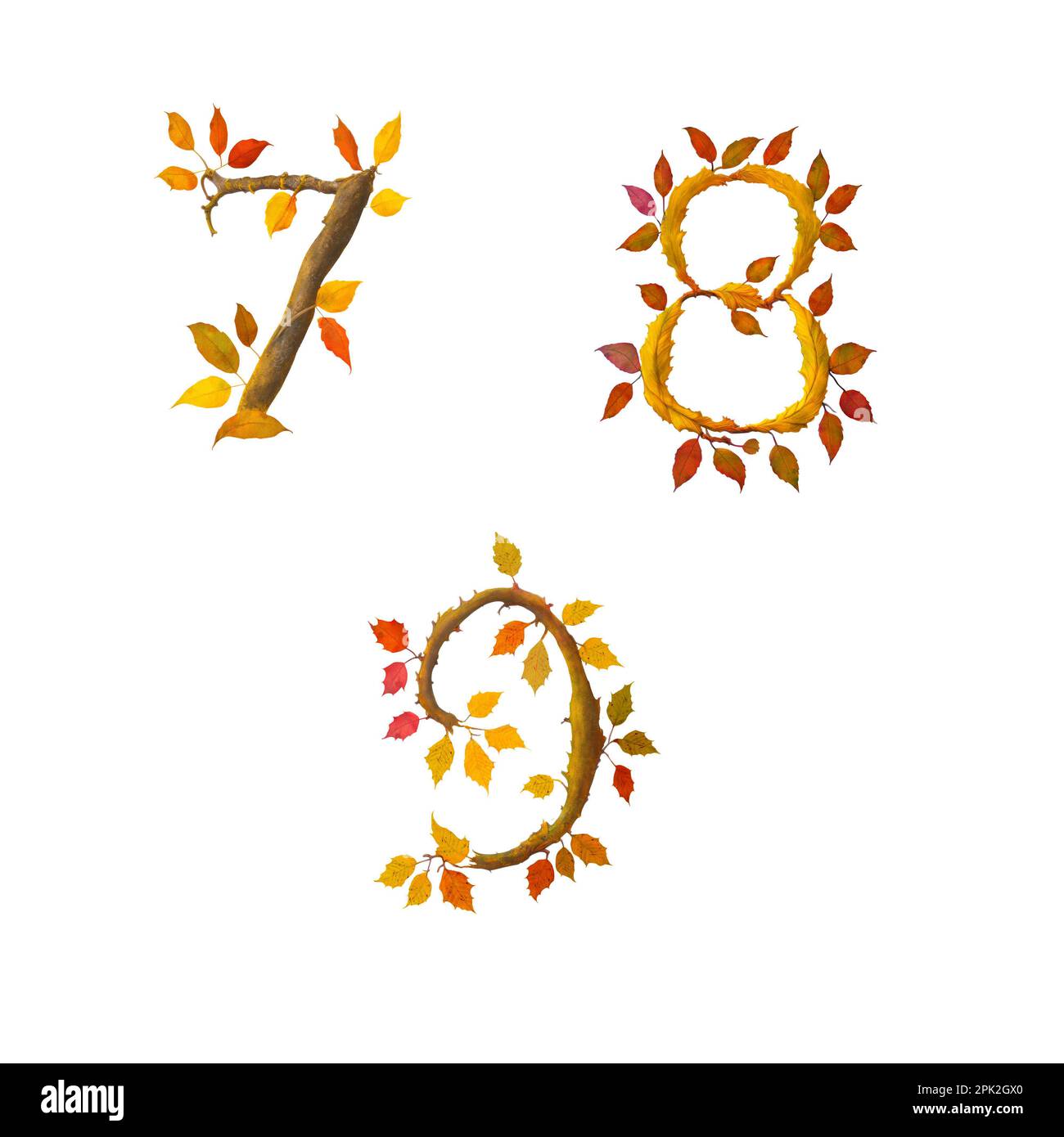 3D illustration of stylized autumn leaf tree alphabet - digits 7-9 Stock Photo