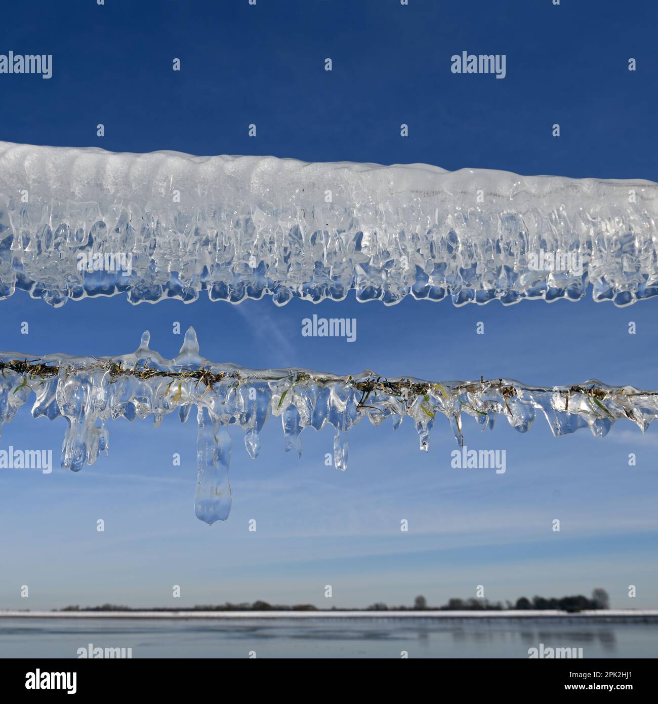 Ice Age... Icicles ( Rhine flood ) on a pasture fence on Bislicher Island in winter 2020/2021 Stock Photo