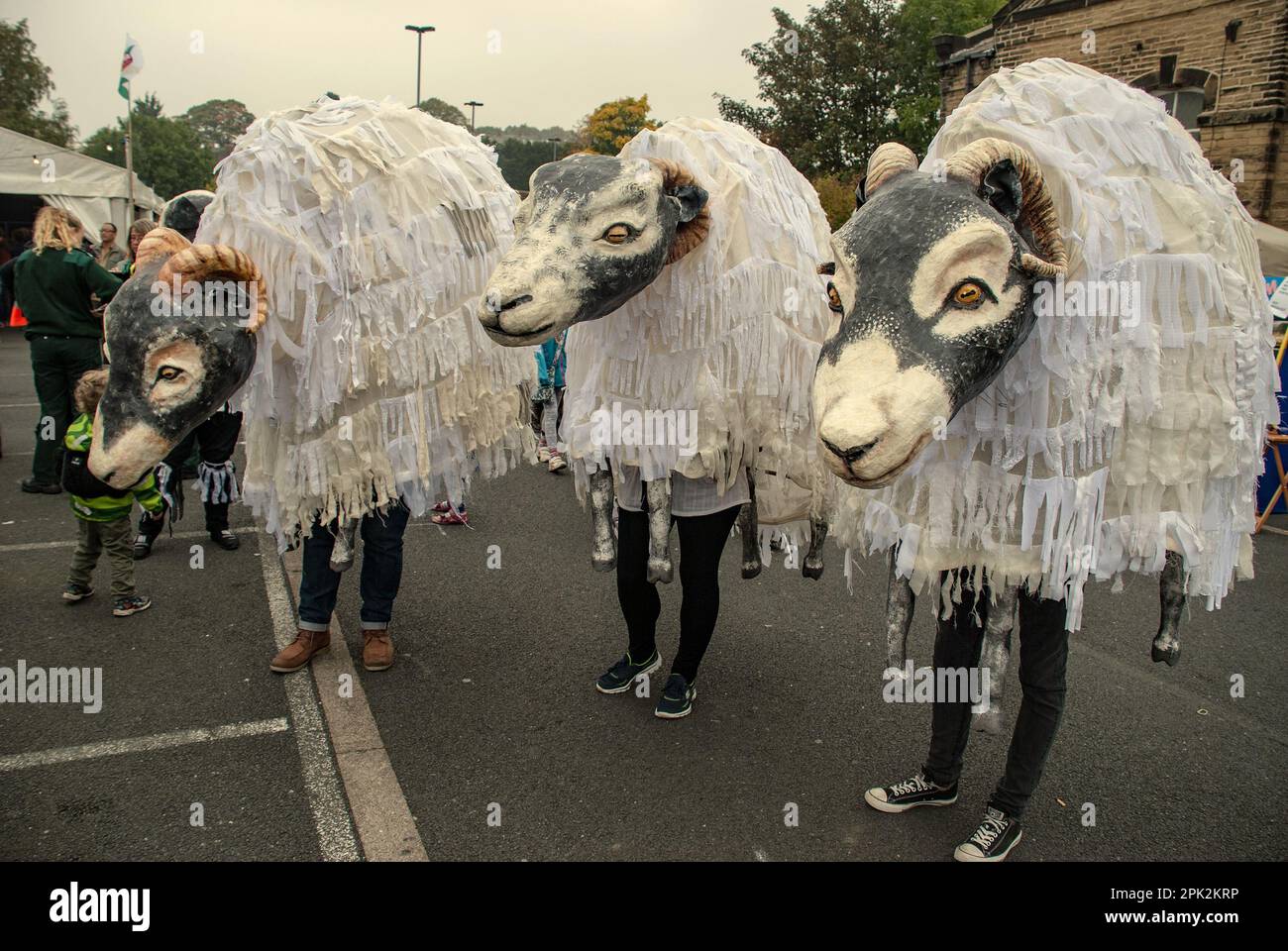 Three giant Swaledale sheep seen at the Skipton International Puppet Festival continue to fascinate spectators. Stock Photo