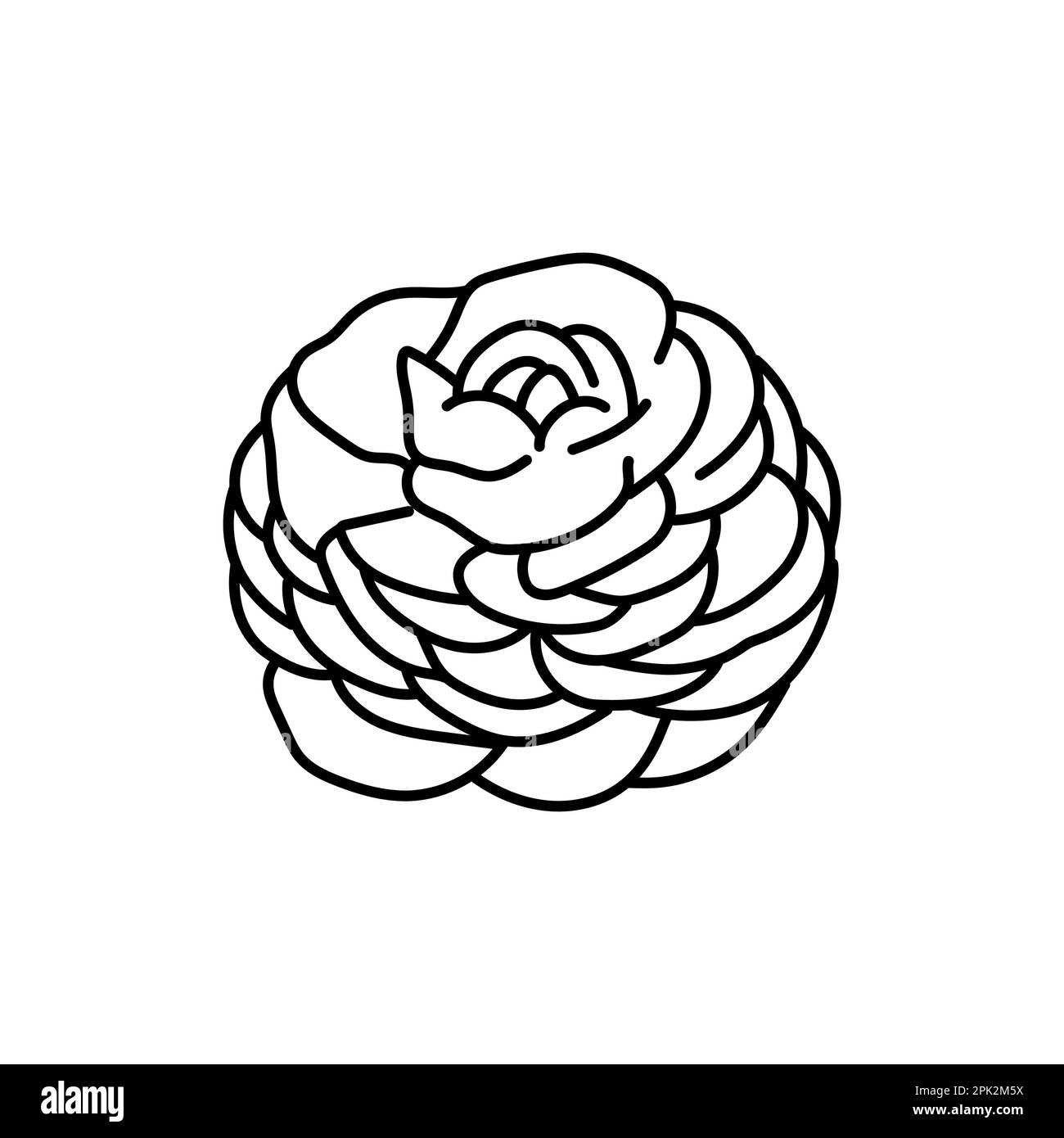 Ranunculus flower black line icon. Pictogram for web page, mobile app ...