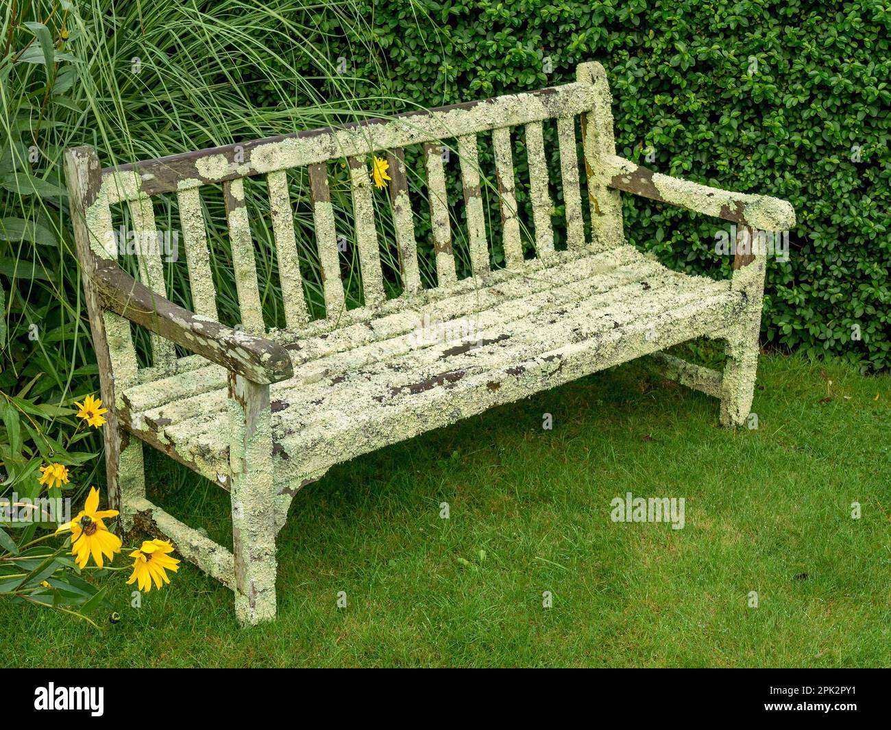 Old lichen covered wooden garden bench seat Stock Photo Alamy
