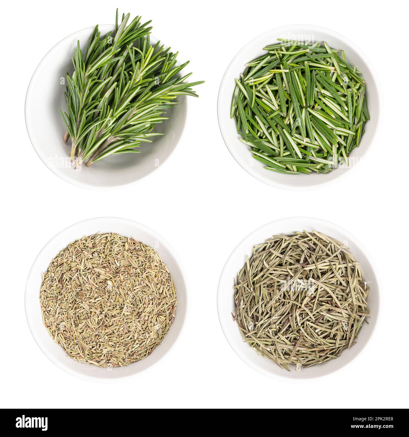 Fresh and dried rosemary in white bowls. Green twigs and needles of Salvia rosmarinus and dried chopped branches and the leaves. Stock Photo