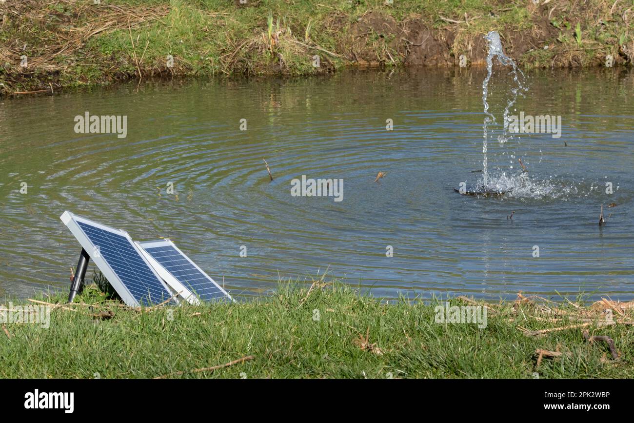 A solar powered water fountain. The solar panels are positioned on the