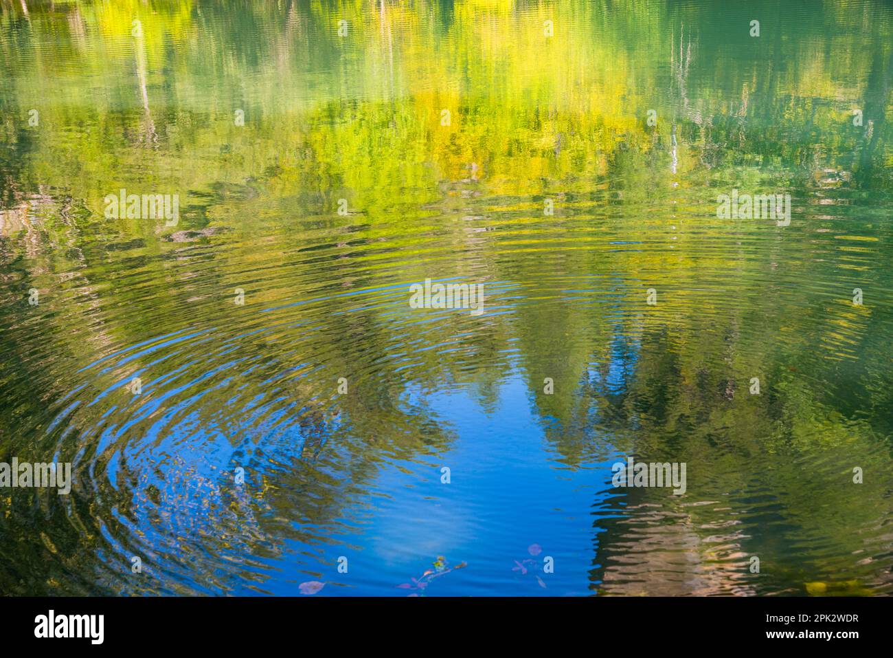 Ripples of water. Stock Photo