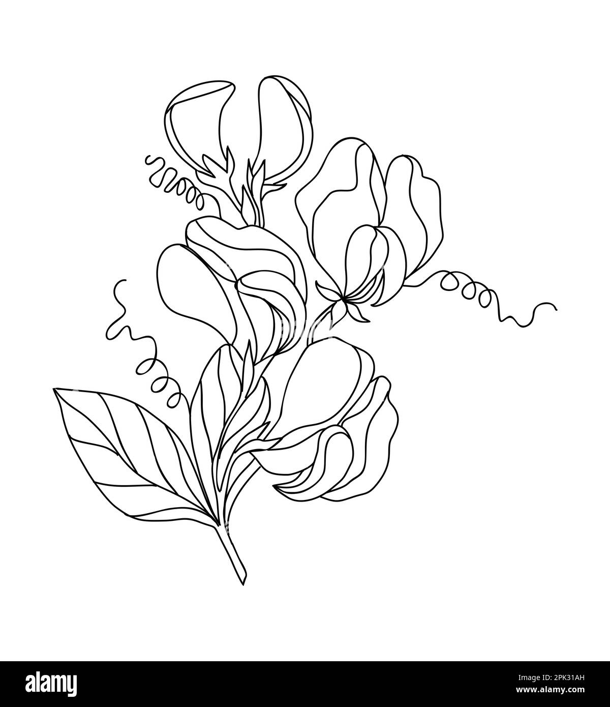 Sweetpea Flower Tattoo  Album on Imgur