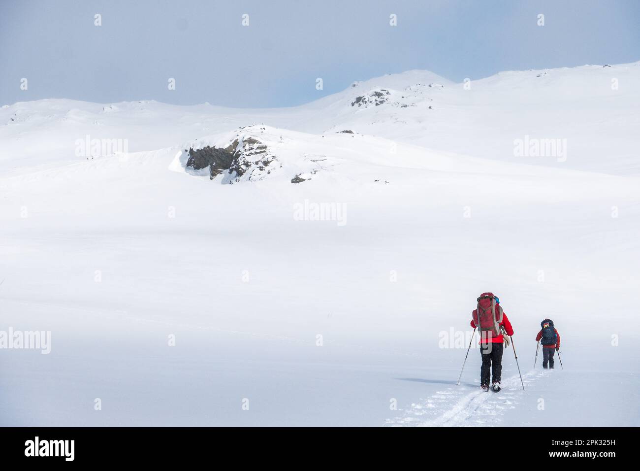 Two nordic skiers in a snowy landscape in Norway Stock Photo