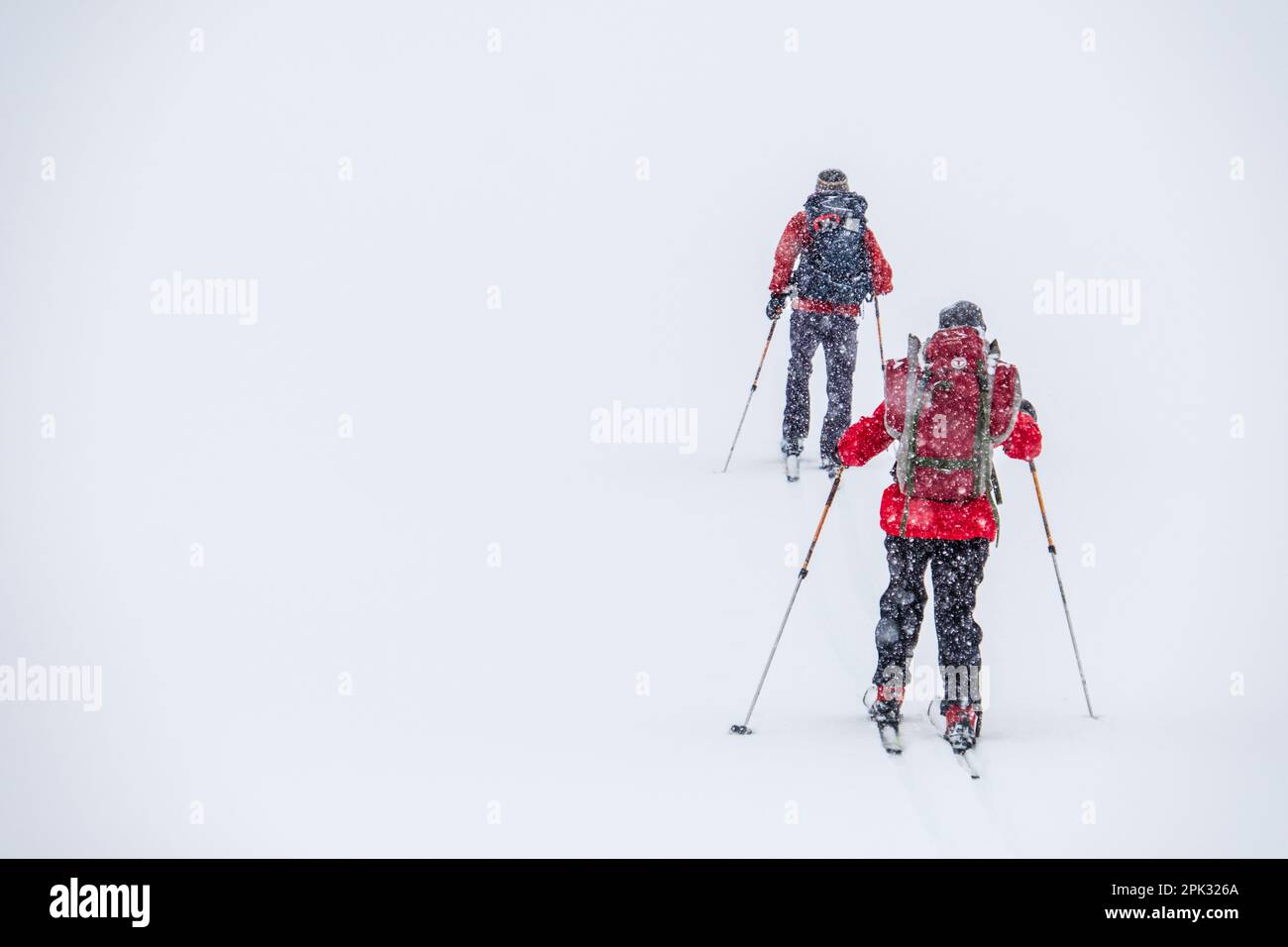 Two people mountain skiing in heavy snowfall, Norway Stock Photo