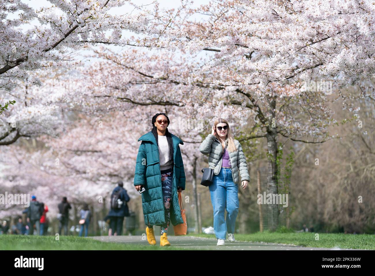 People walk through cherry blossom trees in Battersea Park in south west London. Picture date