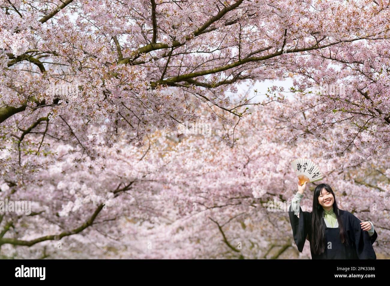 People pose for photographs with cherry blossom trees in Battersea Park in south west London