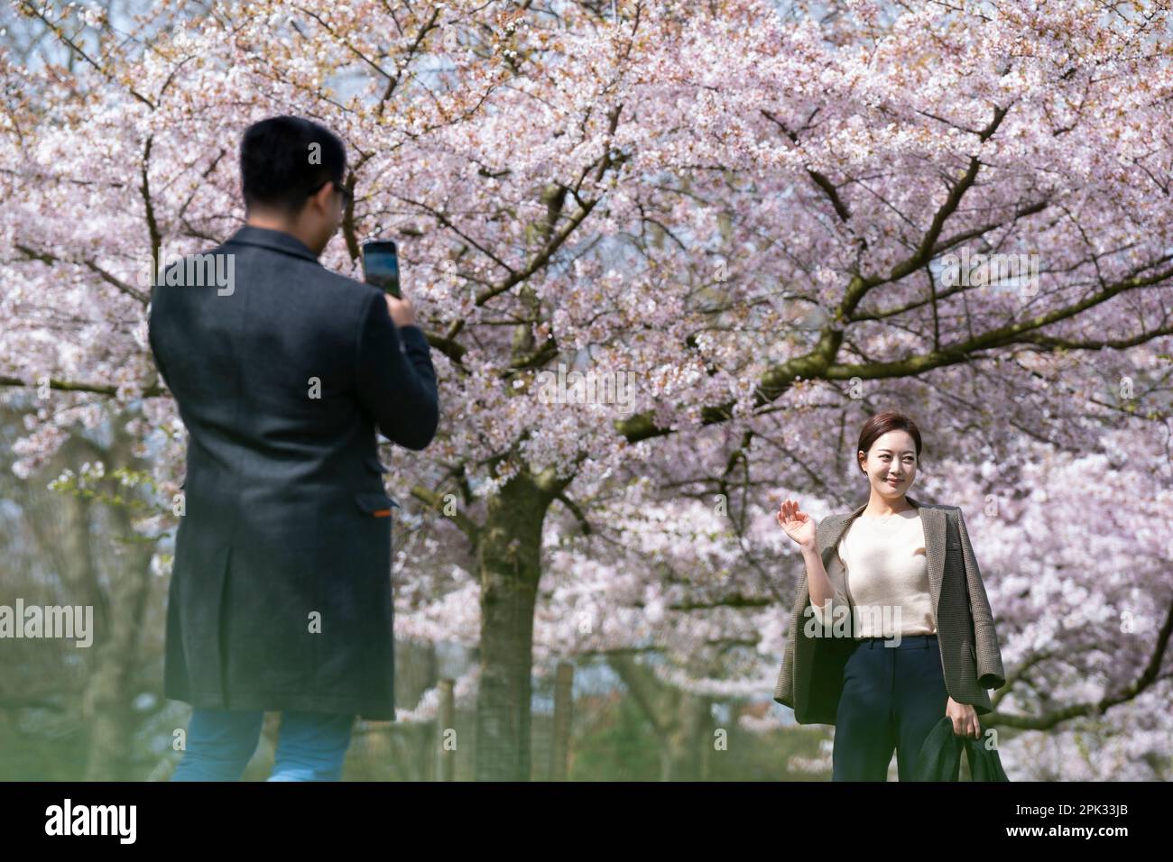 People pose for photographs with cherry blossom trees in Battersea Park in south west London