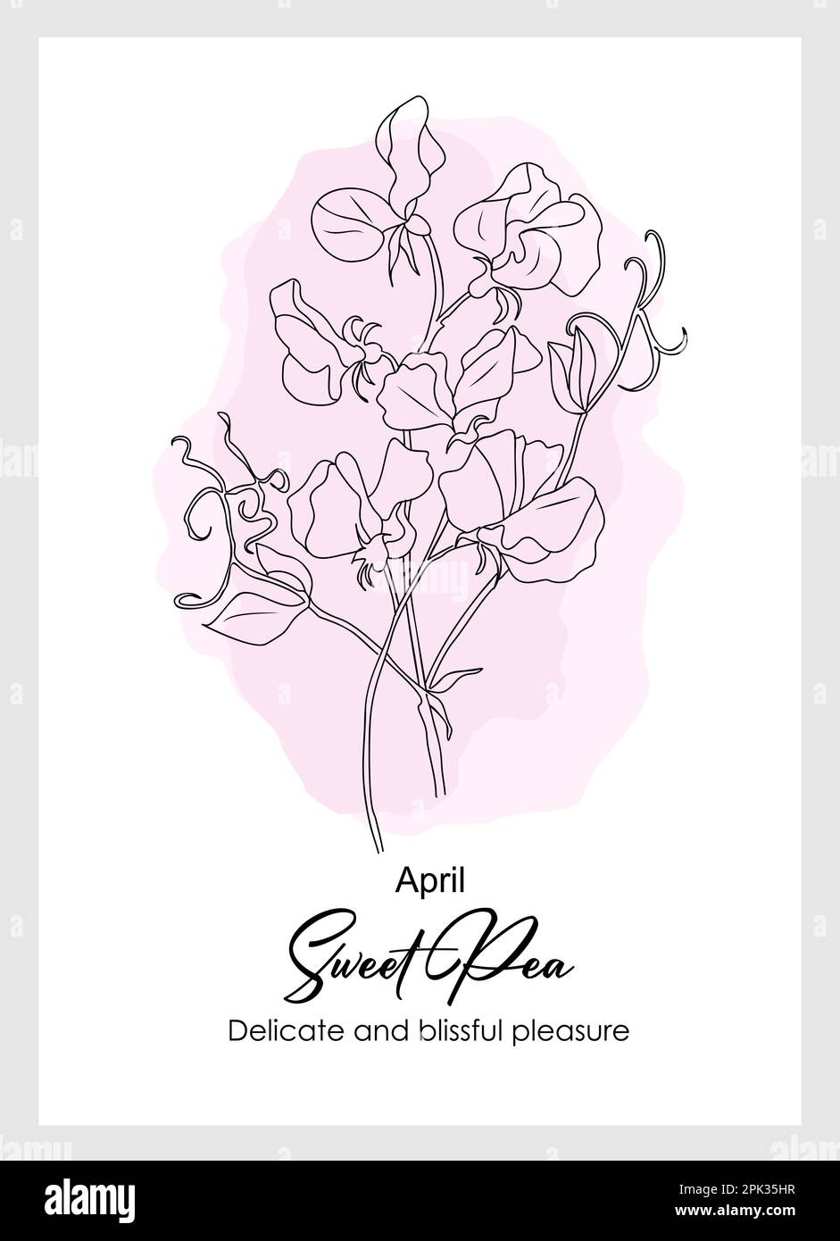 April birth month flower