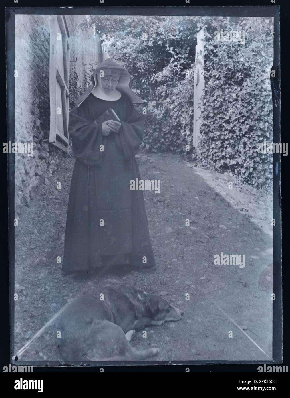 Portrait Of A Nun And Dog Stock Photo Alamy portrait-of-a-nun-and-dog-stock-photo-alamy