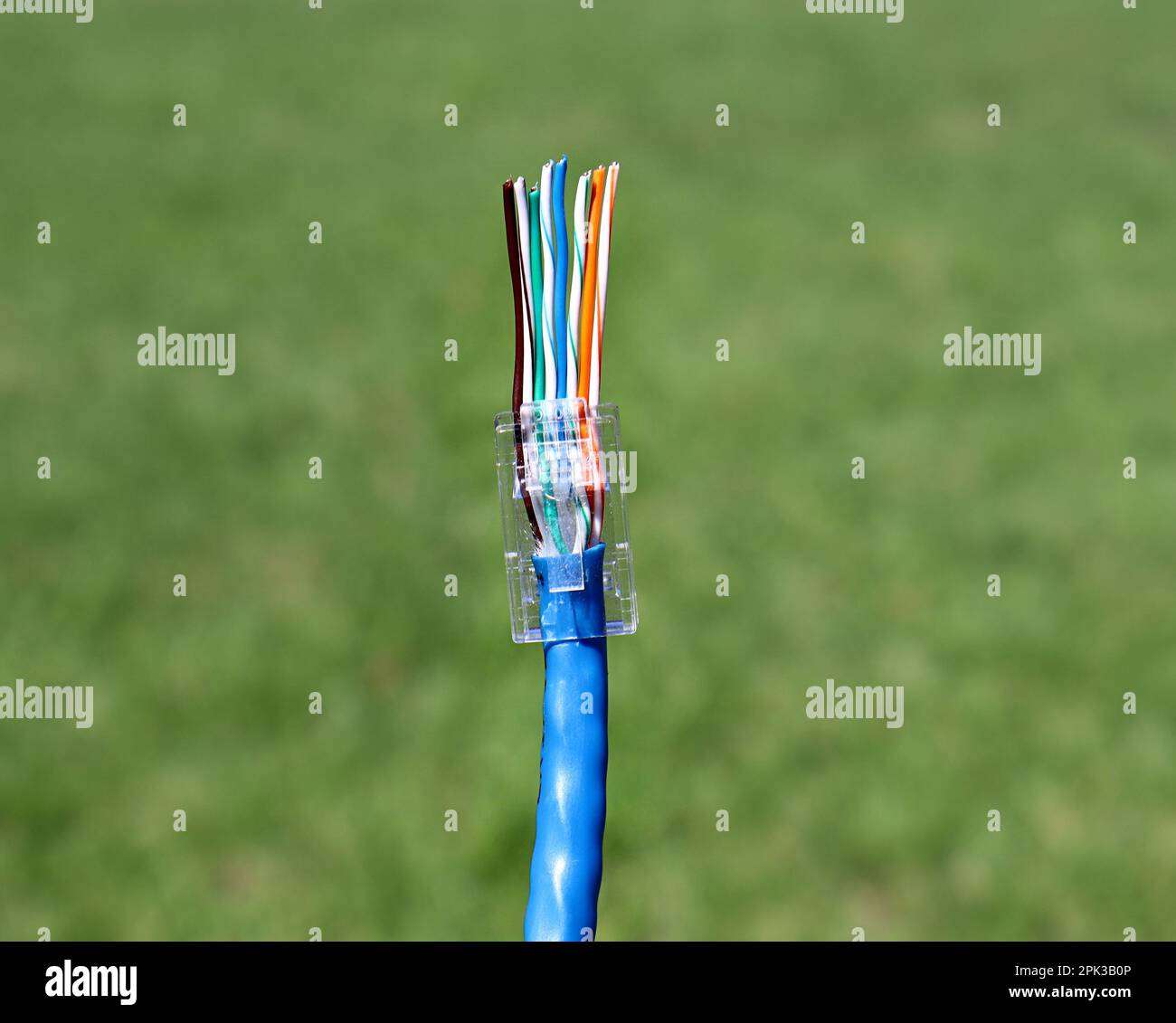 RJ45 ethernet connection Wiring T568B standard Stock Photo