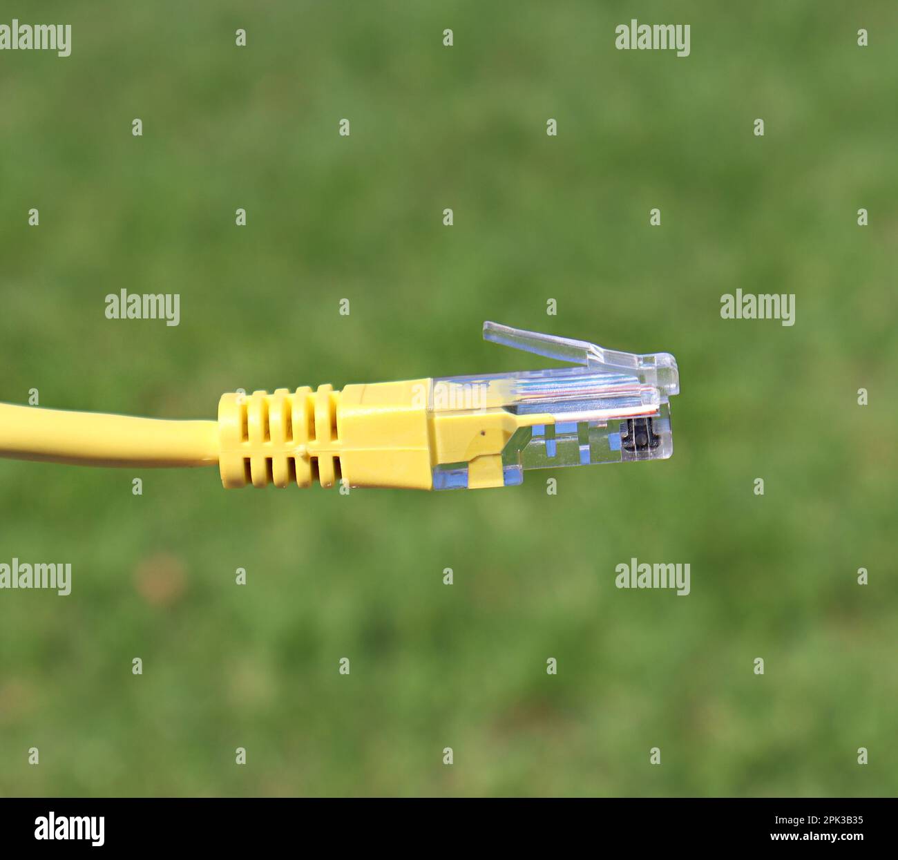 RJ45 cable close up shot Stock Photo Alamy