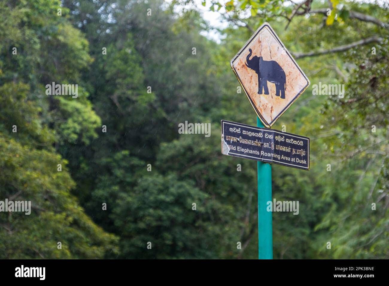 A sign warning of wild elephants at Sigiriya in Sri Lanka Stock Photo