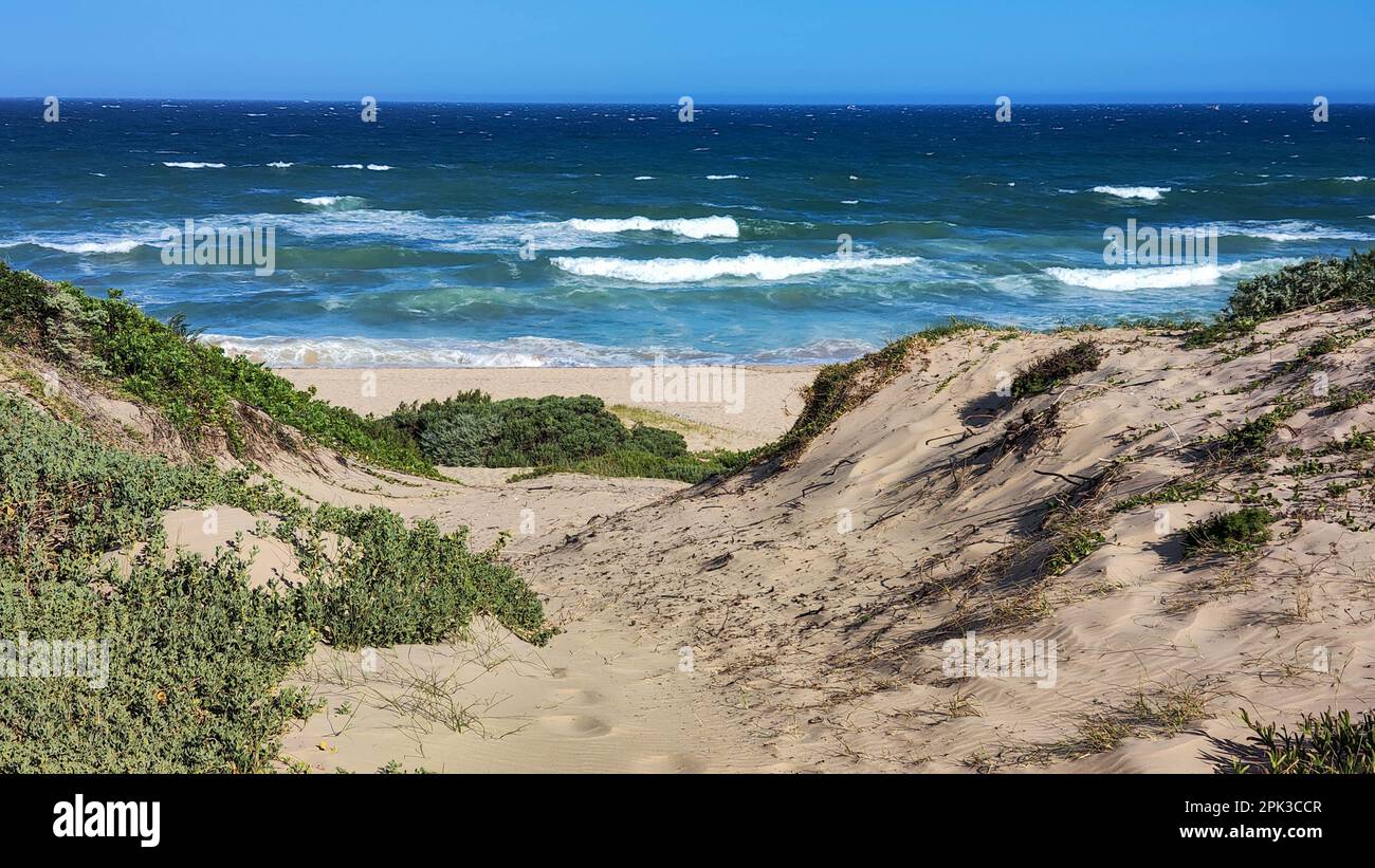 Jeff Bay View at the beach of Jeffrey's bay on South Africa Stock Photo - Alamy