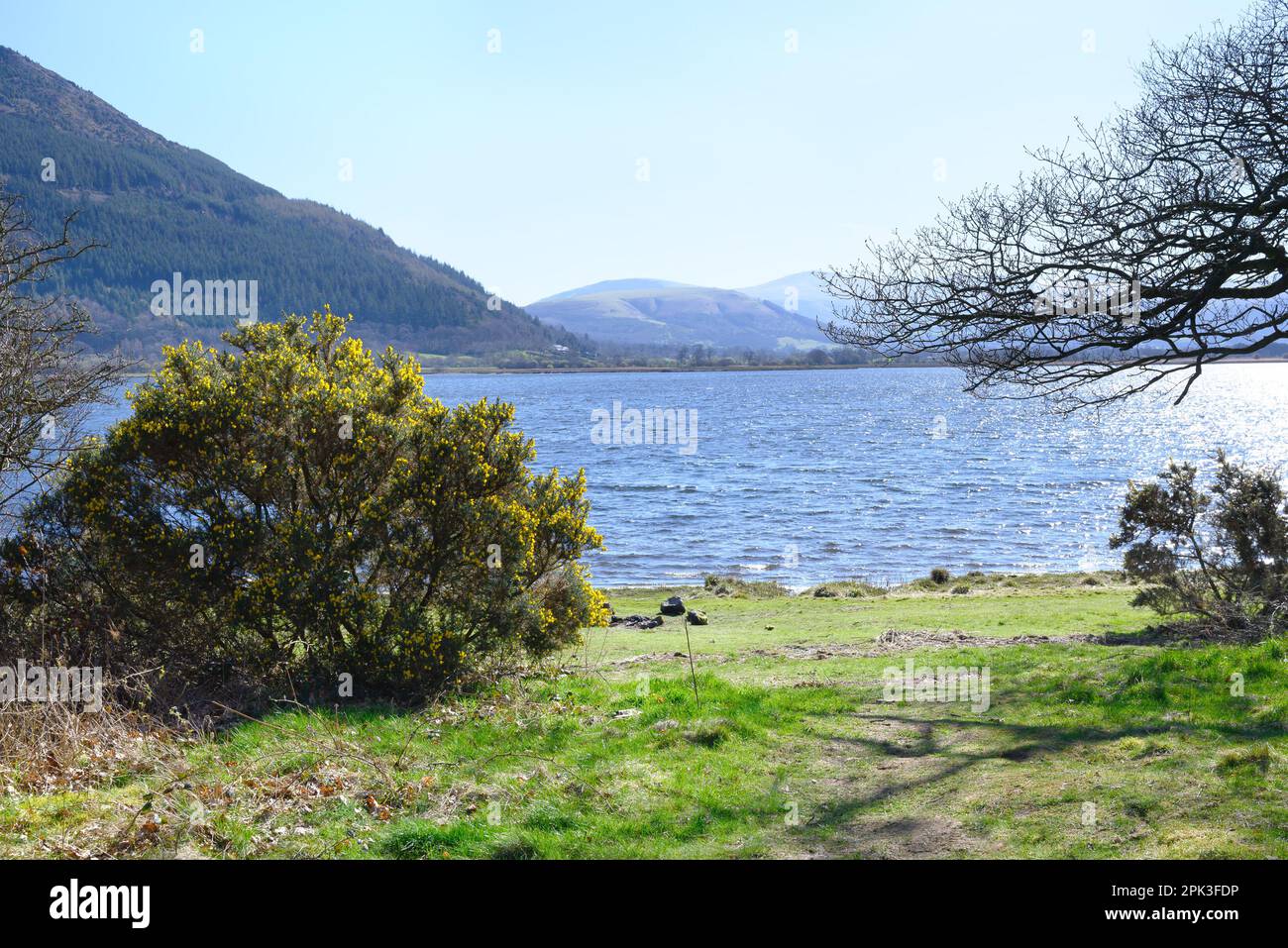 Lake District, Cumbria, UK. Bassenthwaite Lake seen from the Viewing Point on the A66, early April Stock Photo