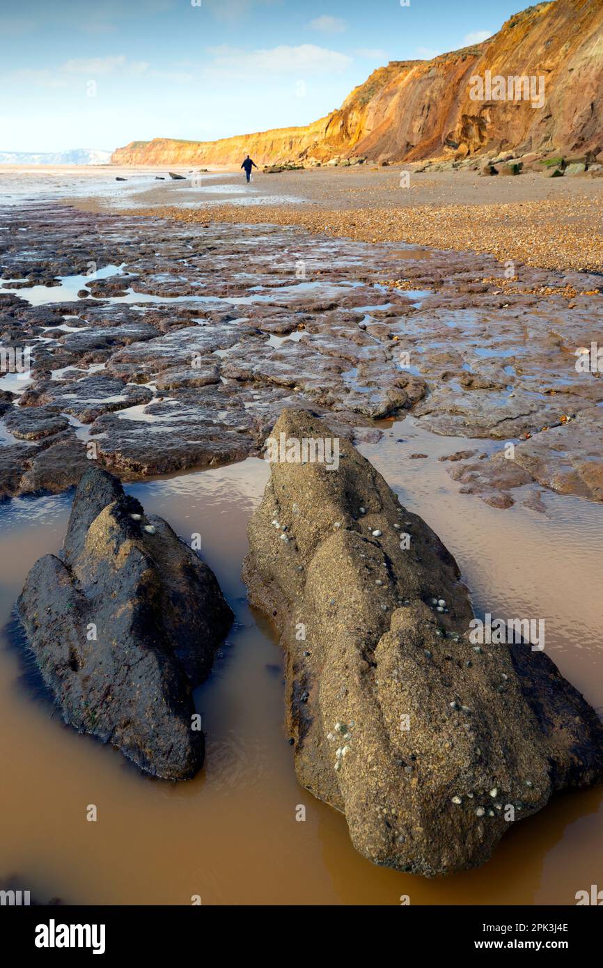 geology, Jurassic Coast, pillar, rock,pinnacle, Chilton Chine, Isle of Wight,Britain, British,UK,Great, Stock Photo