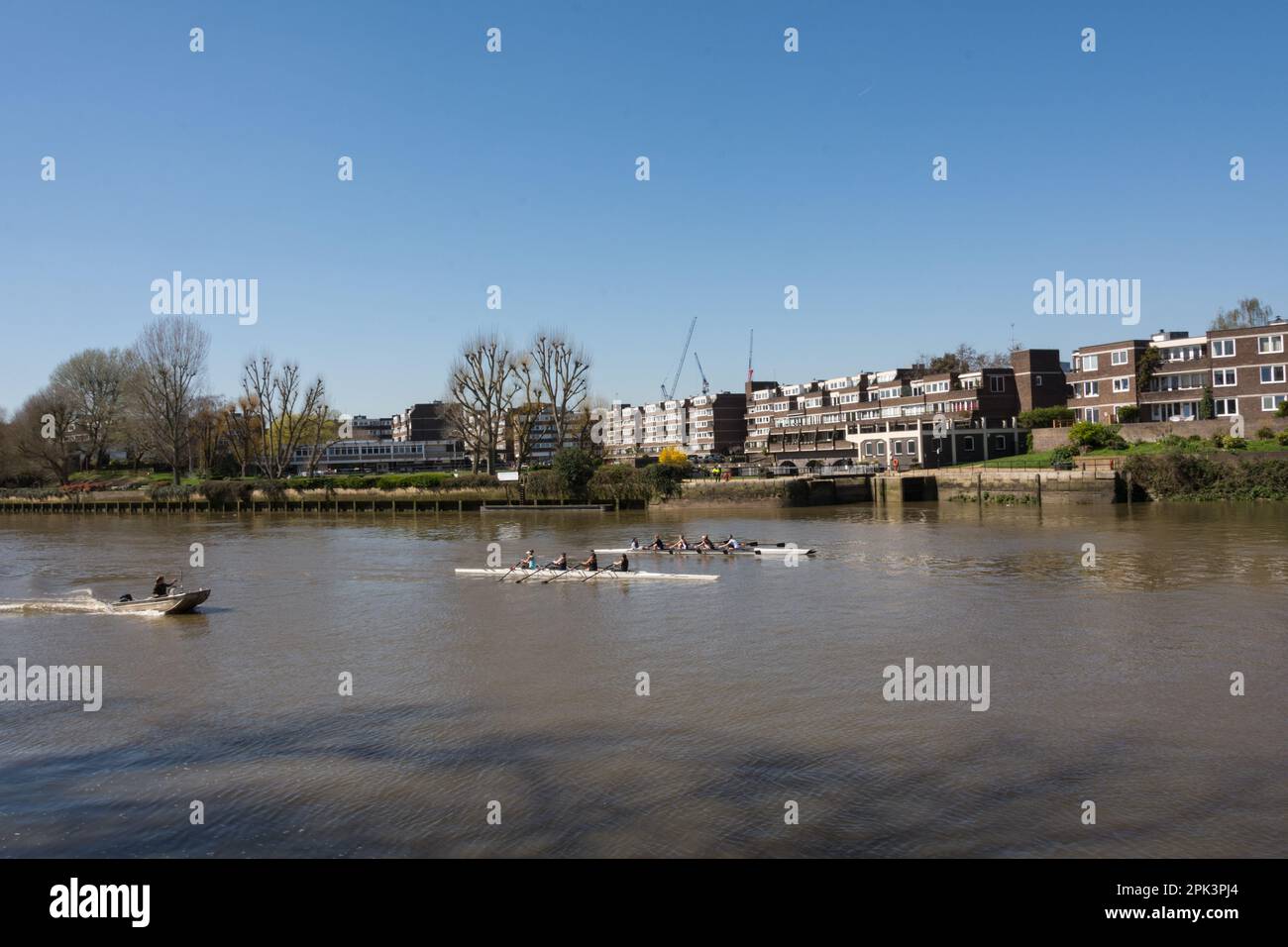 Coxless four rowing boats passing in front of the Brentford Dock housing development as seen from the River Thames, Brentford, Middlesex, London, UK Stock Photo