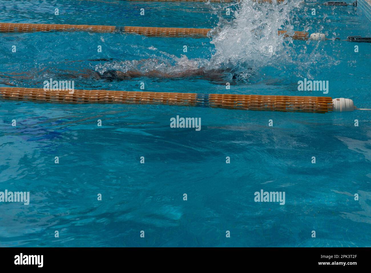 dive into the pool, Stock Photo