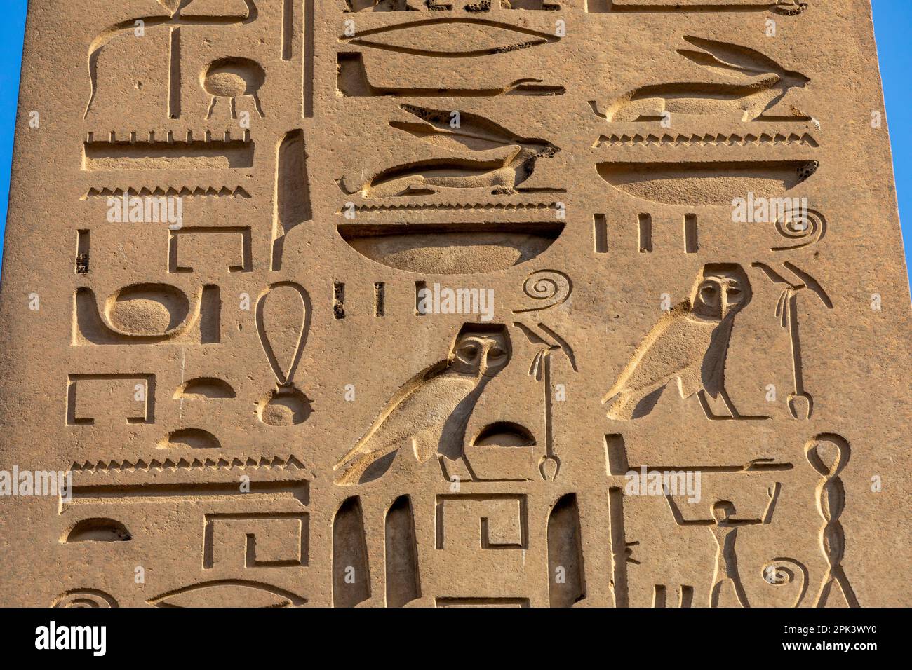 Stone Carvings and Hieroglyphs at Luxor Temple, Luxor, Egypt, North East Africa Stock Photo