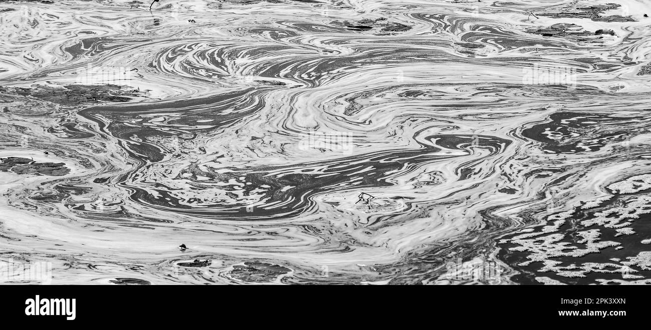 Foamy dirty water abstract background black and white image Stock Photo
