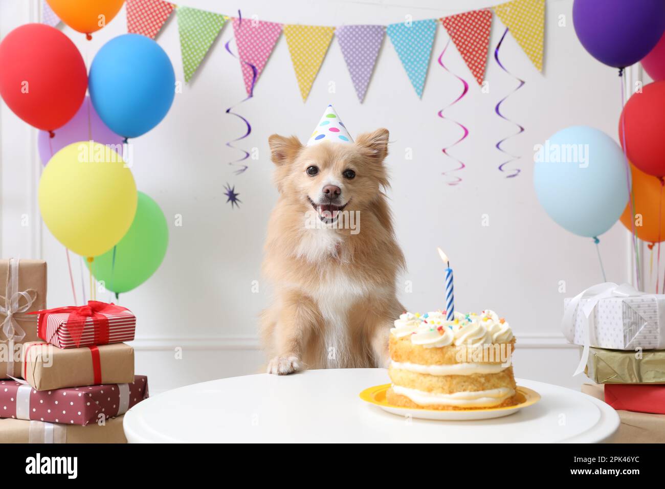 Cute dog wearing party hat at table with delicious birthday cake in ...