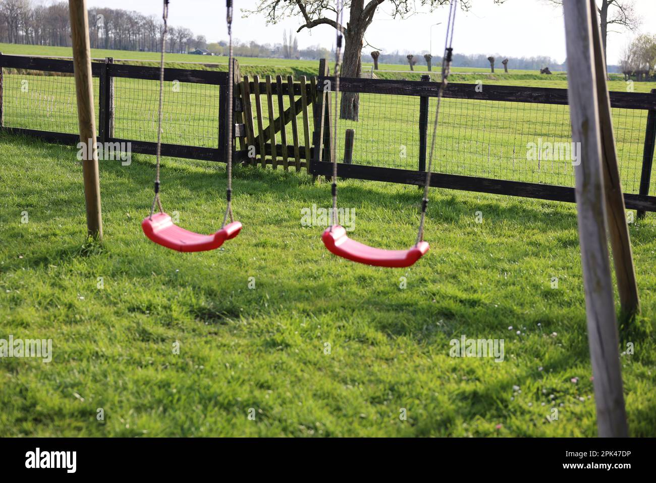Outdoor swings on green grass near wooden fence outdoors Stock Photo