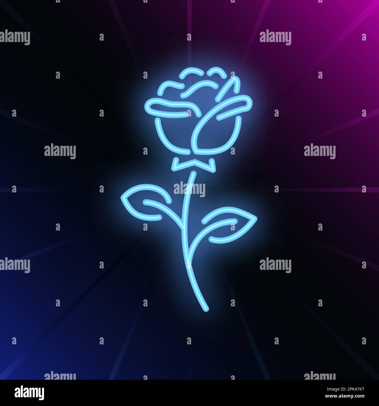 rose-neon-sign-stock-vector-image-art-alamy