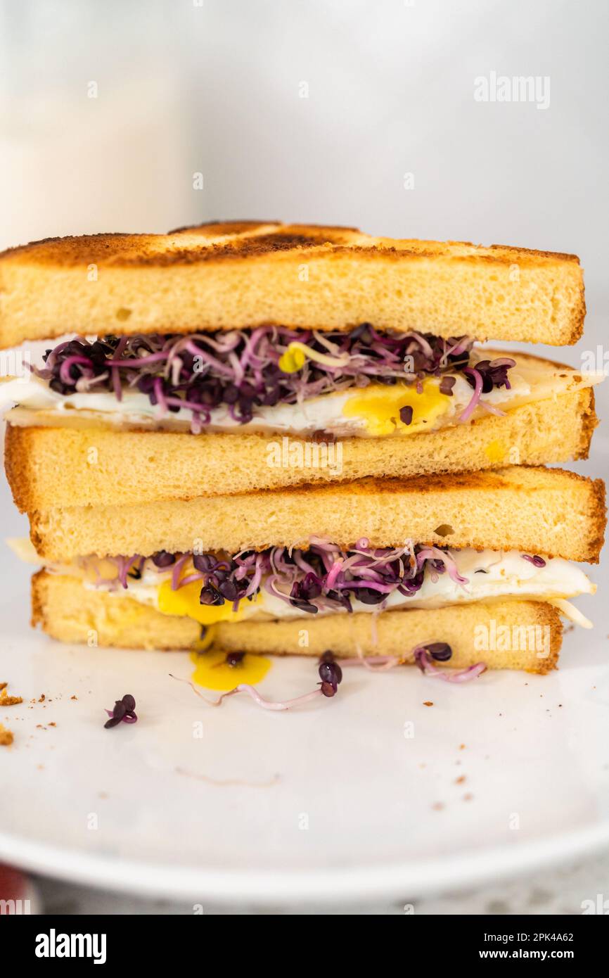 Breakfast Egg and Sprouts Sandwich Stock Photo Alamy