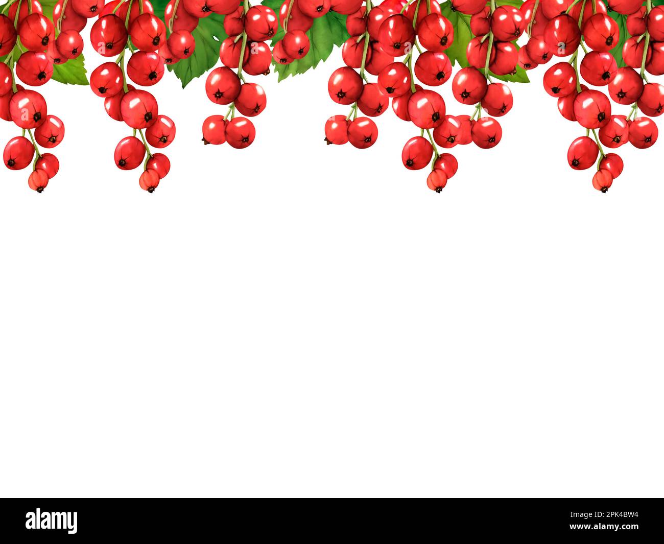 Watercolor border of red ripe currant berries isolated on white ...