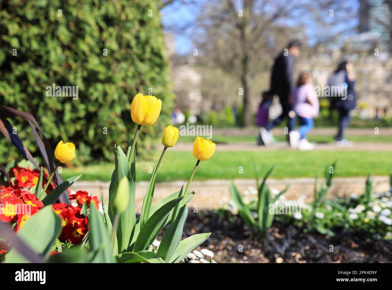 Spring sunshine and flowers in the Easter holidays in Regents Park, London, UK Stock Photo