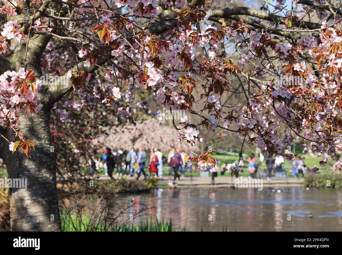 Spring sunshine for the Easter holidays in St James